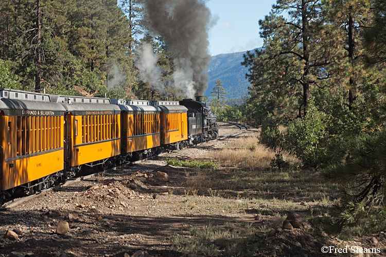 Durango and Silverton Narrow Gauge Railroad Engine 481